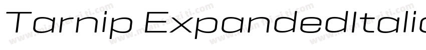 Tarnip ExpandedItalic字体转换